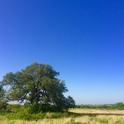 Land in Frio County, Texas