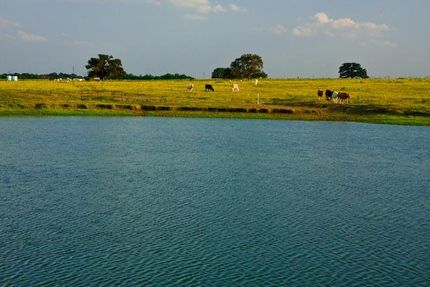 Farm and Ranch in Wilson County, Texas