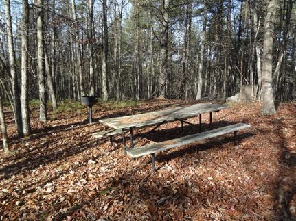 Timberland Property in Rockbridge County, Virginia