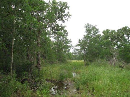 Recreational Property in Milam County, Texas