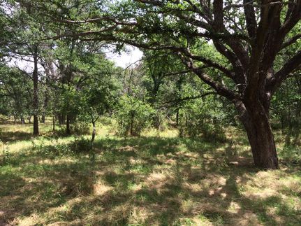 Farm and Ranch in Navarro County, Texas