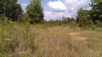Recreational Property in Hickman County, Tennessee