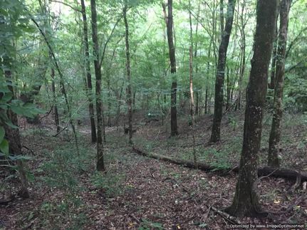 Farm and Ranch in Yazoo County, Mississippi
