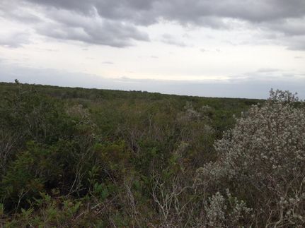 Land in Jim Hogg County, Texas