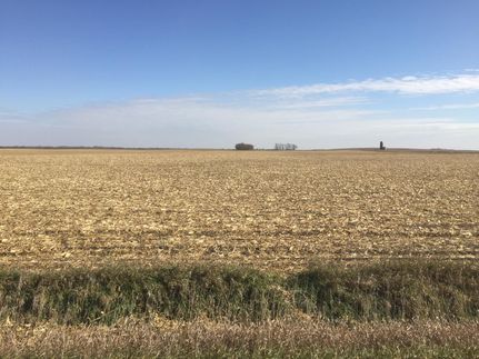 Land in Palo Alto County, Iowa