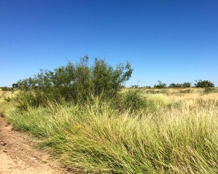 Farm and Ranch in Potter County, Texas