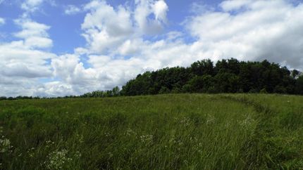 Farm and Ranch in Tuscola County, Michigan