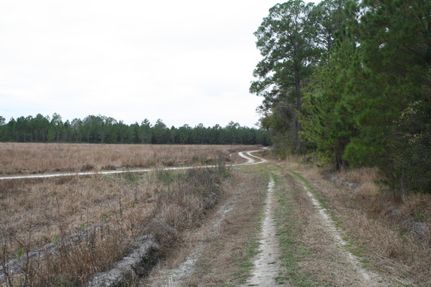 Farm and Ranch in Hamilton County, Florida