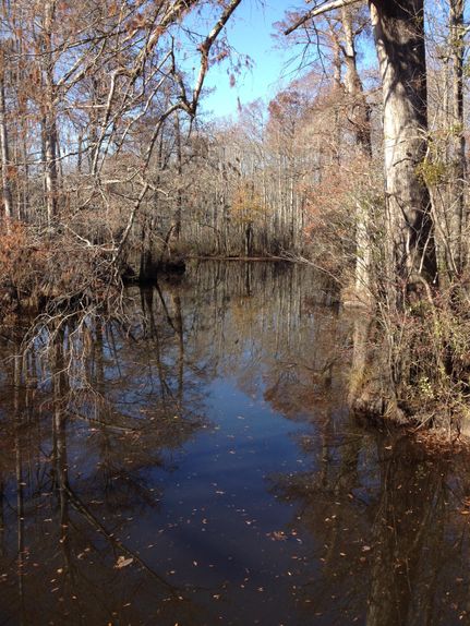 Farm and Ranch in Hertford County, North Carolina