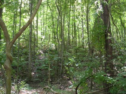 Farm and Ranch in Etowah County, Alabama