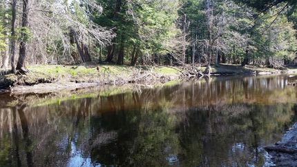 Waterfront Property in Oswego County, New York