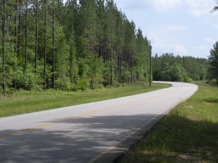 Farm and Ranch in Baldwin County, Alabama