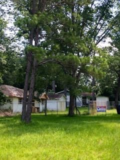 Farm and Ranch in Tyler County, Texas