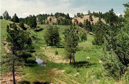 Land in Fall River County, South Dakota