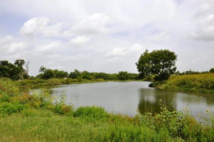 Recreational Property in Atascosa County, Texas