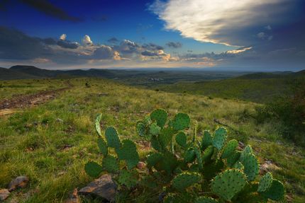 Farm and Ranch in Presidio County, Texas