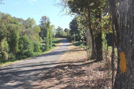 Timberland Property in Alcorn County, Mississippi