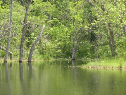 Farm and Ranch in Bates County, Missouri