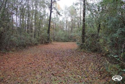 Land in Walthall County, Mississippi