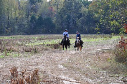 Land in Fayette County, Tennessee