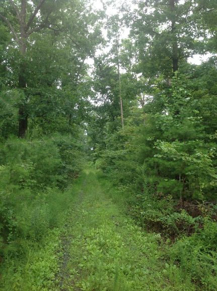 Farm and Ranch in Buckingham County, Virginia