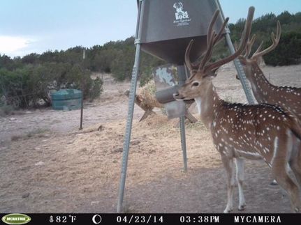 Land in Val Verde County, Texas