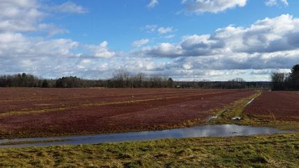 Farm and Ranch in Oswego County, New York