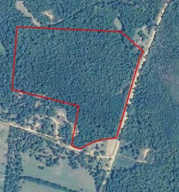 Farm and Ranch in Pickens County, Alabama
