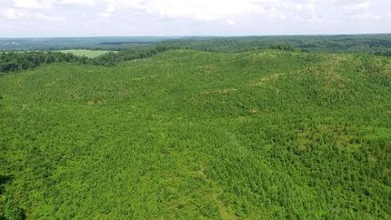Recreational Property in Perry County, Tennessee