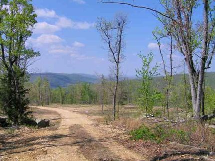 Land in Stone County, Arkansas