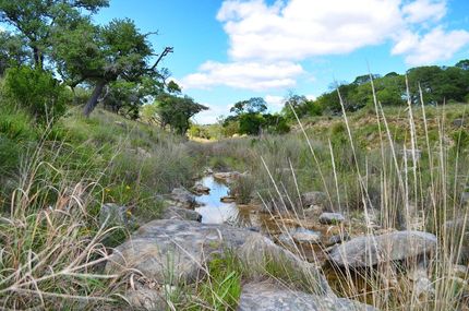Farm and Ranch in Kendall County, Texas