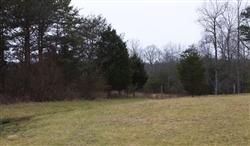 Undeveloped Land in Rockcastle County, Kentucky
