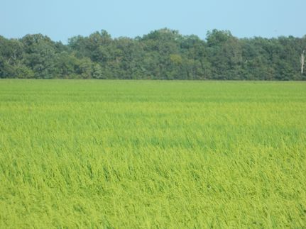 Farm and Ranch in Woodruff County, Arkansas