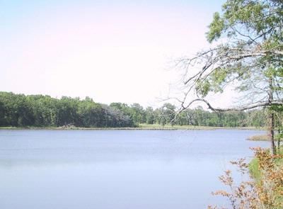 Land in Wood County, Texas