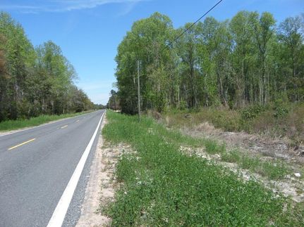 Farm and Ranch in Wayne County, Georgia