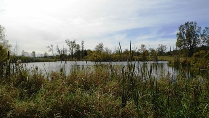 Farm and Ranch in Sanilac County, Michigan