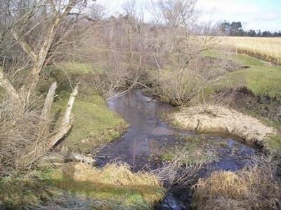 Land in Buffalo County, Wisconsin