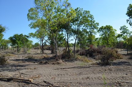 Farm and Ranch in Travis County, Texas