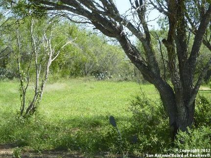 Farm and Ranch in Atascosa County, Texas