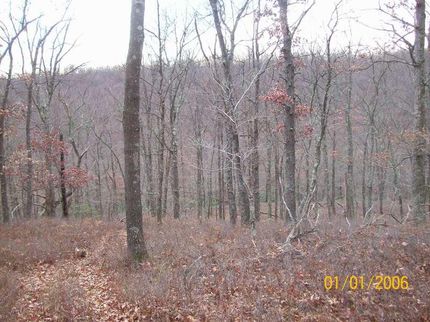Land in Clinton County, Pennsylvania