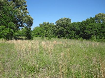 Farm and Ranch in Marshall County, Mississippi