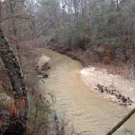 Farm and Ranch in Franklin County, Mississippi