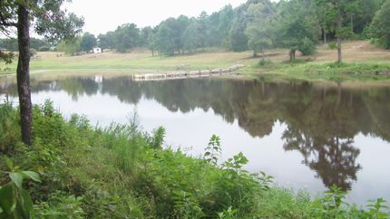 Farm and Ranch in Leon County, Texas