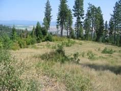 Farm and Ranch in Kootenai County, Idaho