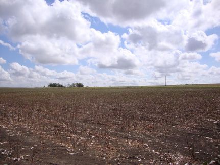 Farm and Ranch in Falls County, Texas