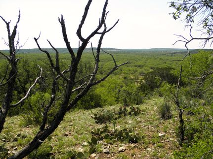 Farm and Ranch in Stephens County, Texas