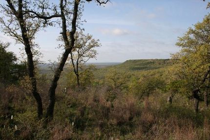 Land in Palo Pinto County, Texas