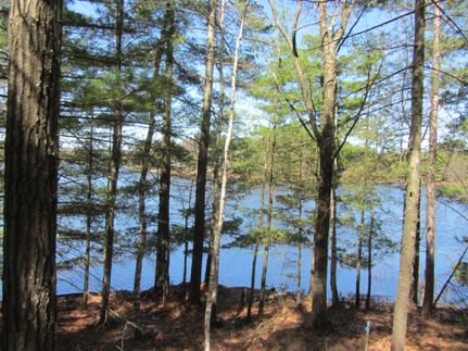 Recreational Property in Oneida County, Wisconsin