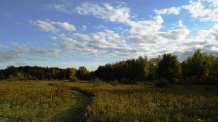 Land in Tuscola County, Michigan