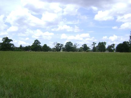 Farm and Ranch in Montgomery County, Texas